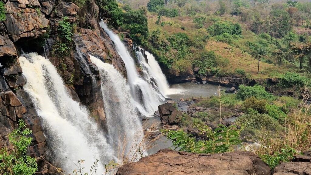 whatsapp image 2026 01 29 at 22.56.43