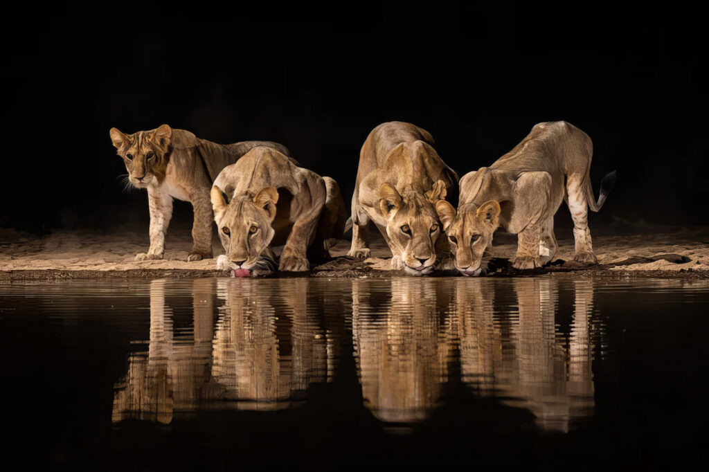 Pourquoi investir en République Centrafricaine en 2026 ? Guide pratique pour investisseurs